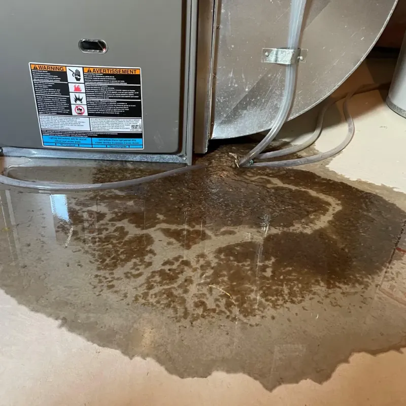 Appliance Leak Cleanup in Rockford, AL